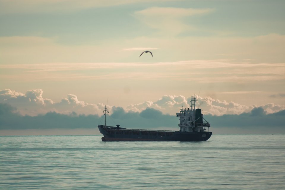 The Grain Corridor and The Possible Risks